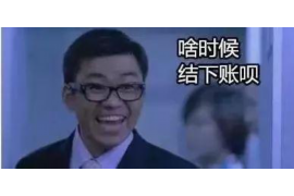 汉川为什么选择专业追讨公司来处理您的债务纠纷？